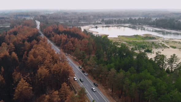 A Drone Flies Over a Burnt Forest