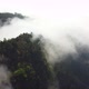 Filming the deep forest from above with passing clouds. Cinematic shot. - VideoHive Item for Sale