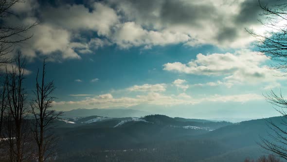 Winter Forest and Mountain Landscape