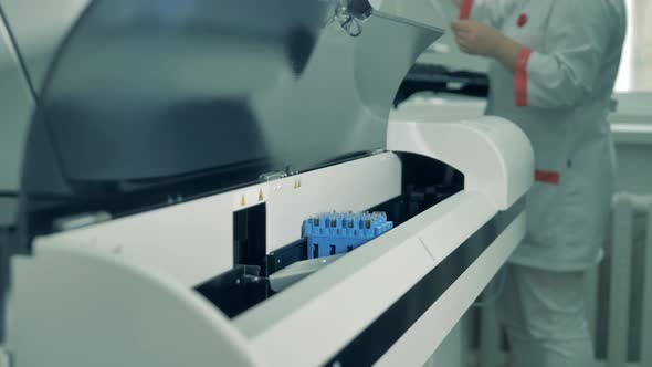 Laboratory Worker Puts Samples Into Testing Machine.