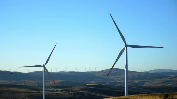 Wind Tribunes and Landscapes