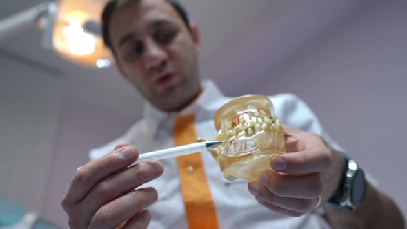 Closeup Dental Cast in Hands of Blurred Middle Eastern Professional Dentist Talking in Slow Motion