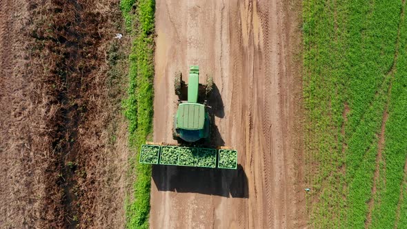 Tractor loaded with Broccoli pallets crossing a field, aerial view.