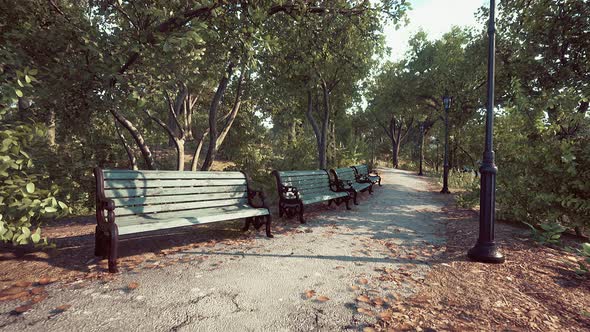 Empty Benches at Public Park During Curfew Cause of Corona Virus Quarantine