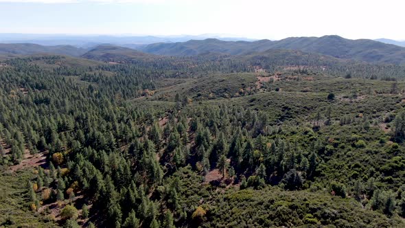 Pine Valley During Dry Fall Season, California