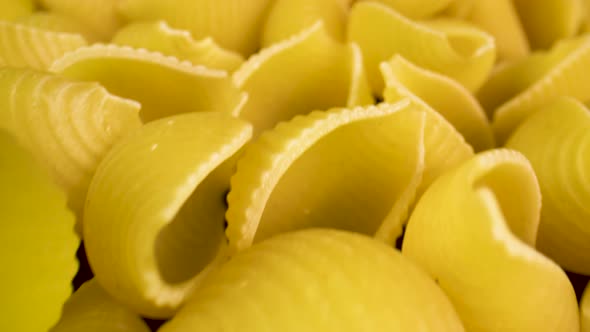 Close-up over a bunch of conchiglie pasta shells.