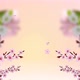 Beautiful Sakura Flowers Abstract Cherry Blossom Background Loop 4k - VideoHive Item for Sale