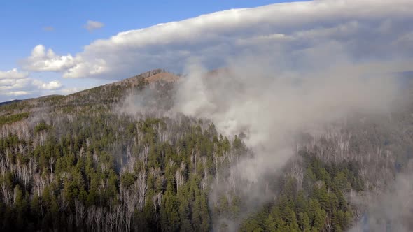 Air Pollution Caused By Wildfires Clouds of Smoke Above the Burning Field Aerial Footage