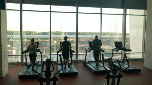 Back Pan View of Three Sporty People Running on Treadmills in a Gym
