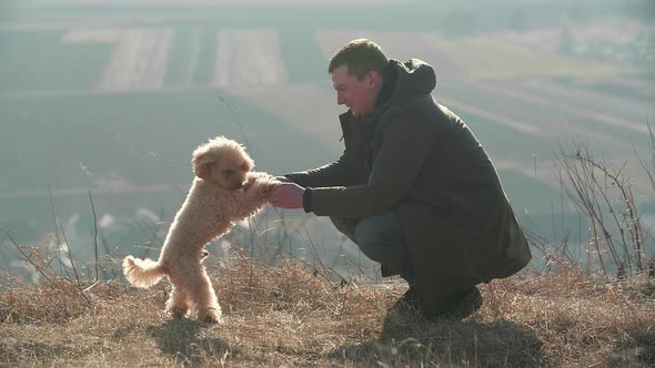 A Young Men is Playing with a Little Toy Poodle Dog