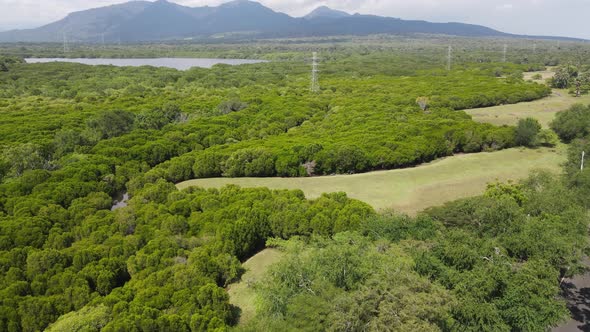 Aerial view of West Bali National Park in Indonesia