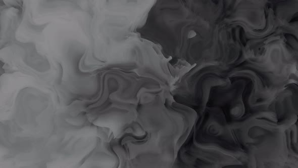 Background Gray Color Ink Smoke Liquid animation