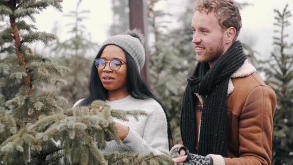 Cheerful Multiracial Couple Shop for the Perfect Christmas Tree