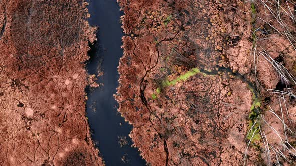 Aerial view of winding river between brown swamps