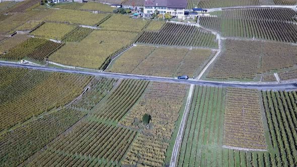 Road in Lavaux vineyards during autumn, house and a car parked. Vaud, Switzerland