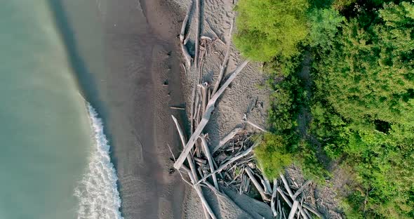 Aerial footage of a lake coastline with driftwood scattered across the beach on a hot relaxing summe