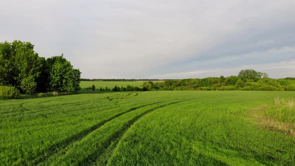 Modern Agriculture