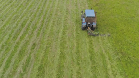 Tractor Mows the Grass