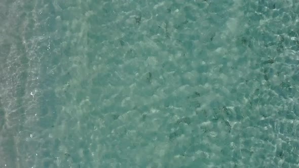 Aerial view panorama of shore beach journey by clear lagoon with sand background