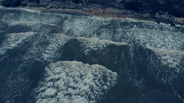 Bird'seye View of Seagulls Soaring Against the Surf of the Ocean