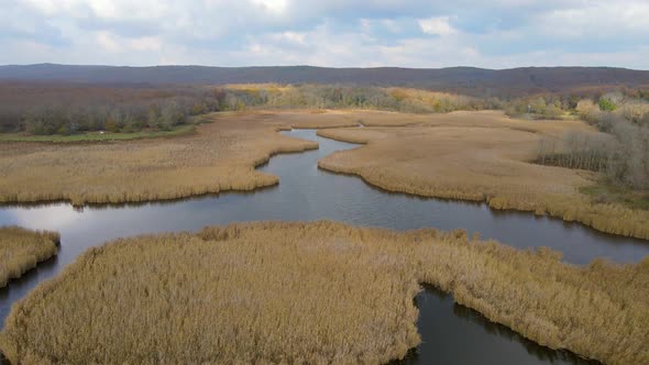 lake and reeds in autumn, Igneada, Turkey