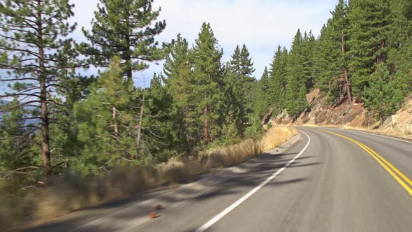 Driving Along A Road Through The Forest