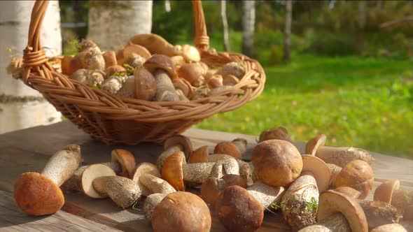 Basket Full of Mushrooms Put on a Wooden Table