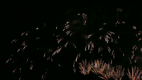 Colorful Firework display at night on sky background