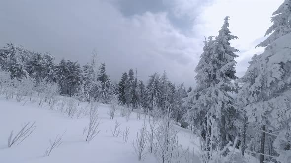 Aerial View of a Fabulous Winter Mountain Landscape Closeup