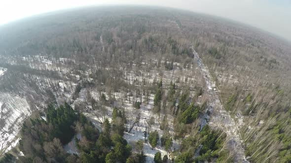 Aerial panorama of winter mixed forest