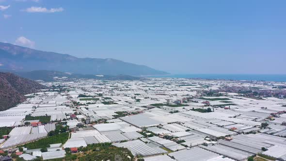 Demre Greenhouses