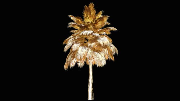 Golden Palm Tree In The Wind