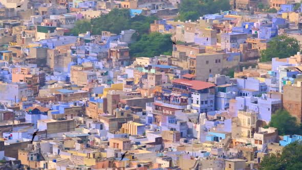 Jodhpur the Blue City Aerial View. Blue Painted Houses and Birds Flying in the Morning Above Brahmin