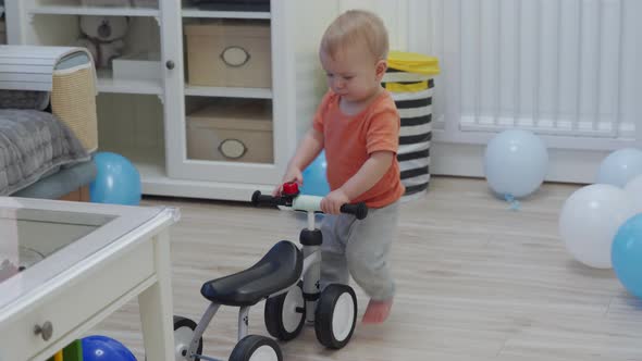 Kid Celebrating His First Birthday Received a Balance Bike As a Gift Baby Boy on Baby Balance Bike