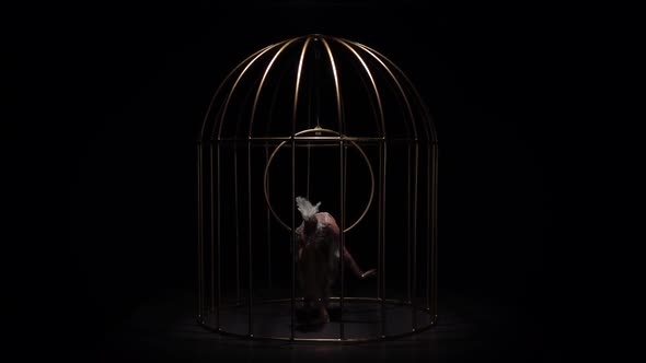 Gymnast in Bird Costume Riding a Hoop in a Cage on Dark Stage. Black Background