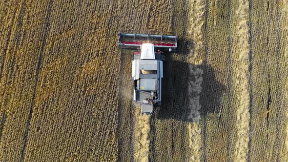 Combine Harvester Working on the Field. During the Day. Aerial Shoot