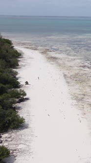 Tanzania  Vertical Video of a Coastal Landscape in Zanzibar Slow Motion