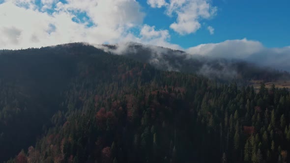 Aerial View of Green Trees in Forest Against Mountains Drone Moving Forward Over Idyllic Woodland