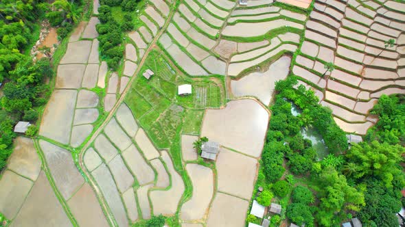 Aerial video of drones flying over rice terraces 