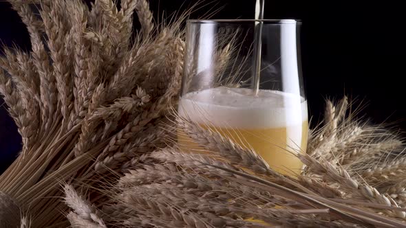 Pouring Beer Into the Glass