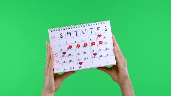 Female Hands Hold a Woman's Periods Calendar for Checking Menstruation Days Isolated on Studio Green