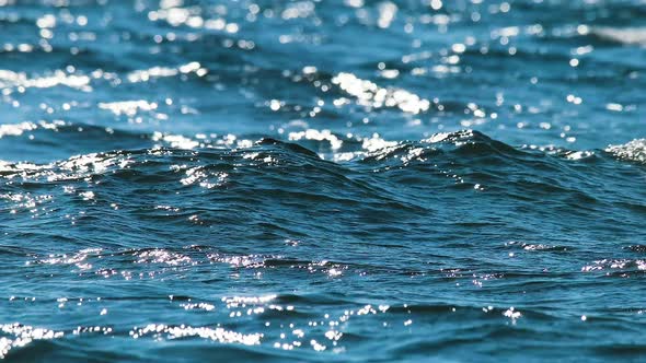 Sea