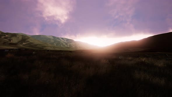 Aerial Green Hills Landscape in Fog alt