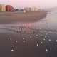 Sunset, Birds on the pacific ocean coast beach (La Serena, Chile) aerial view - VideoHive Item for Sale