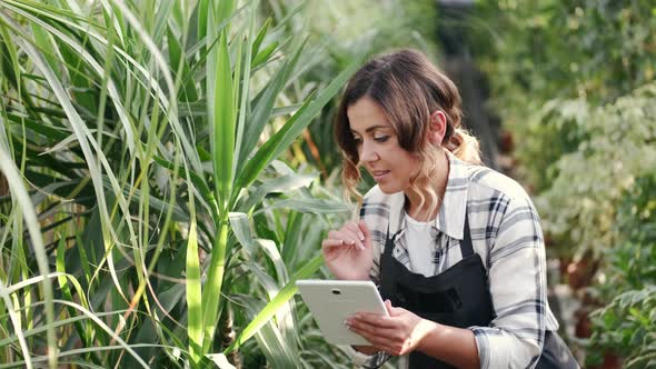 Woman in Uniform Checking Plants at Indoor Plantation