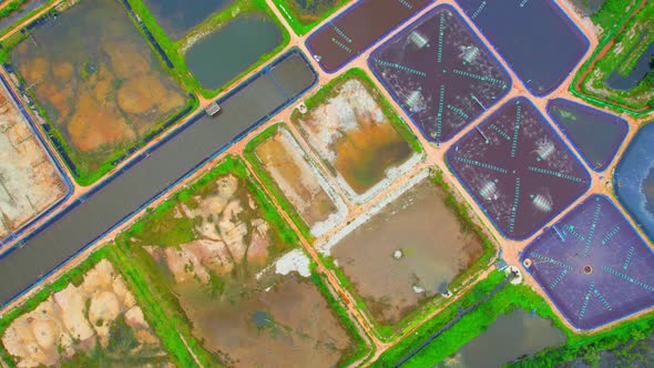 Aerial drone over industrial shrimp farm