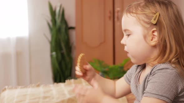 Funny Sweet Girl Eats Cookies Smiles and Laughs