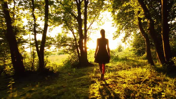 Rear Silhouette View of Young Happy Woman Standing Alone in Dark Woods with Raised Up Hands Enjoying