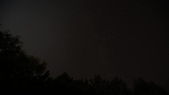 Trees in the Dark Night and Astro Time Lapse 4K