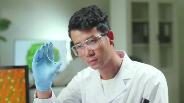 Botanist Man Looking At Petri Dish With Leaf Sample Checking Gmo Test For Chemistry Experiment